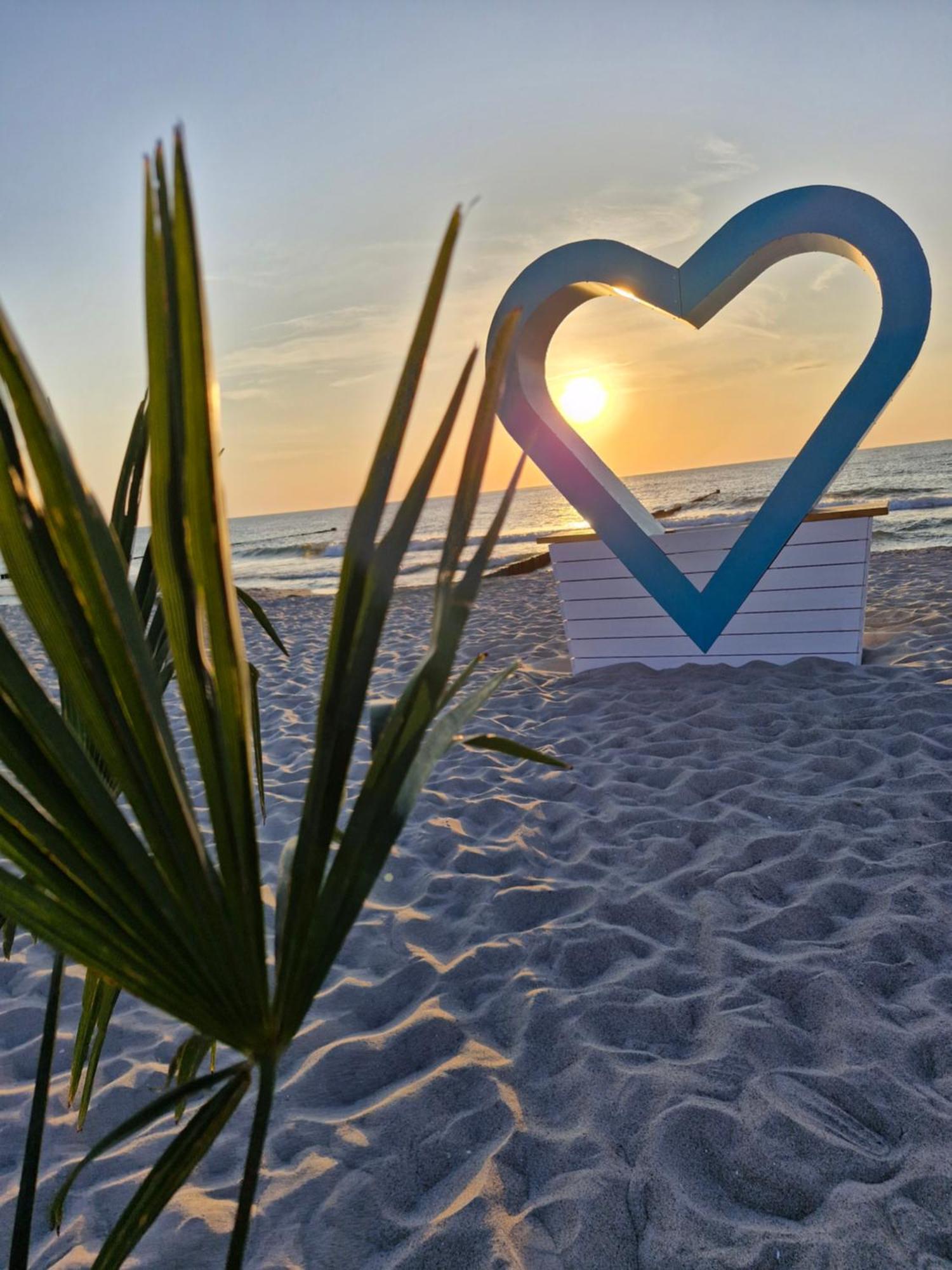 Ferienwohnung Ostseegras Markgrafenheide, 350M Bis Zur Ostsee, Unweit Von Warnemuende Rostock Exteriér fotografie